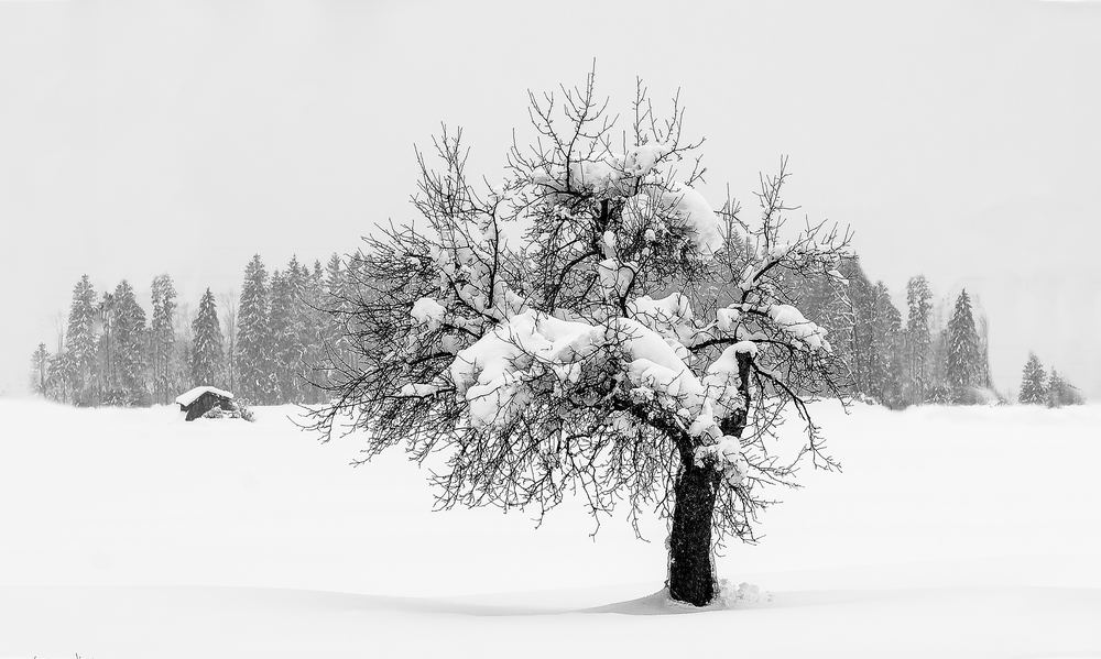 Wintertag